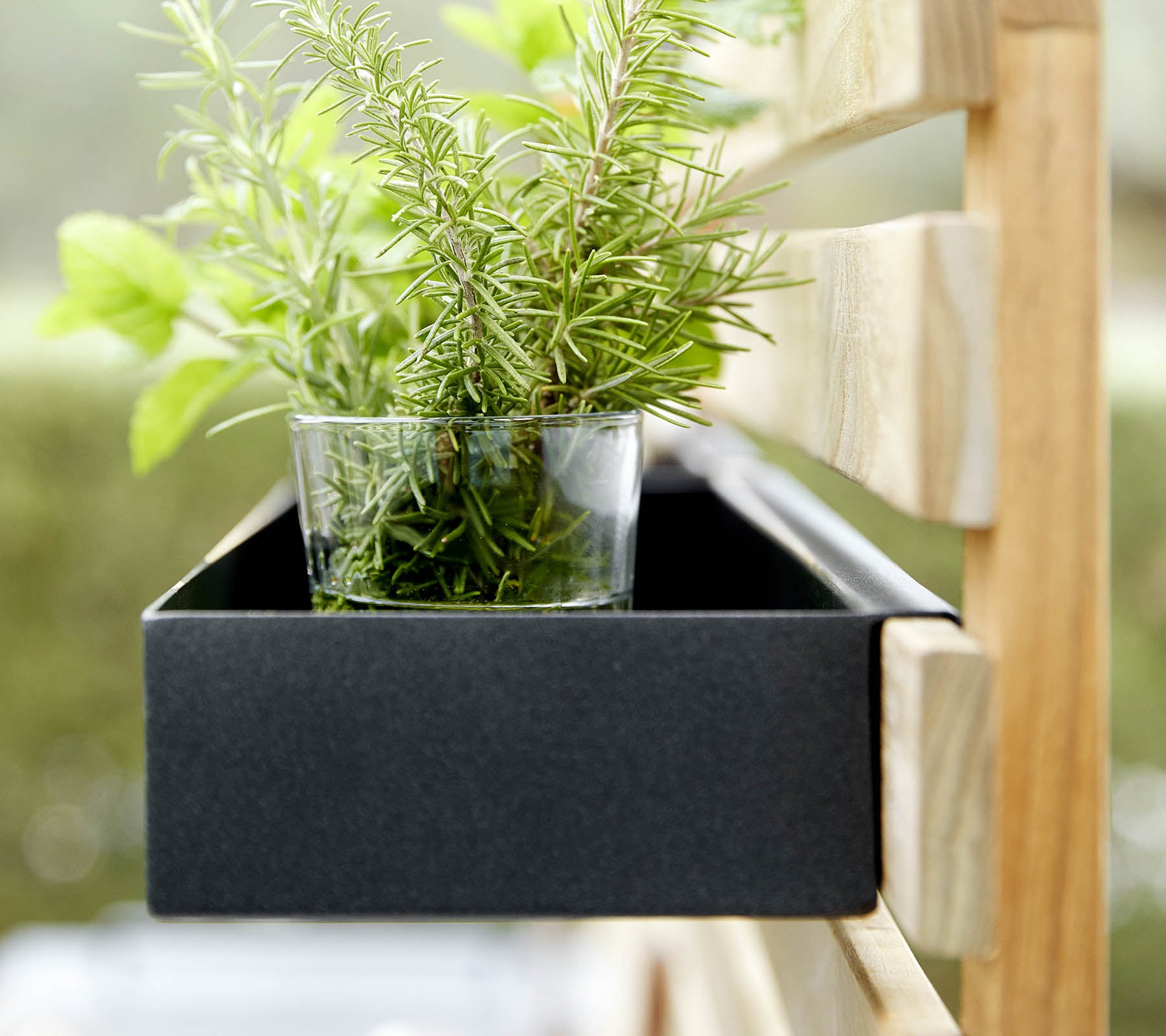 Eine schwarze Pflanzenbox hält ein Glas mit frischen grünen Kräutern, das vor einem Holzrahmen steht.