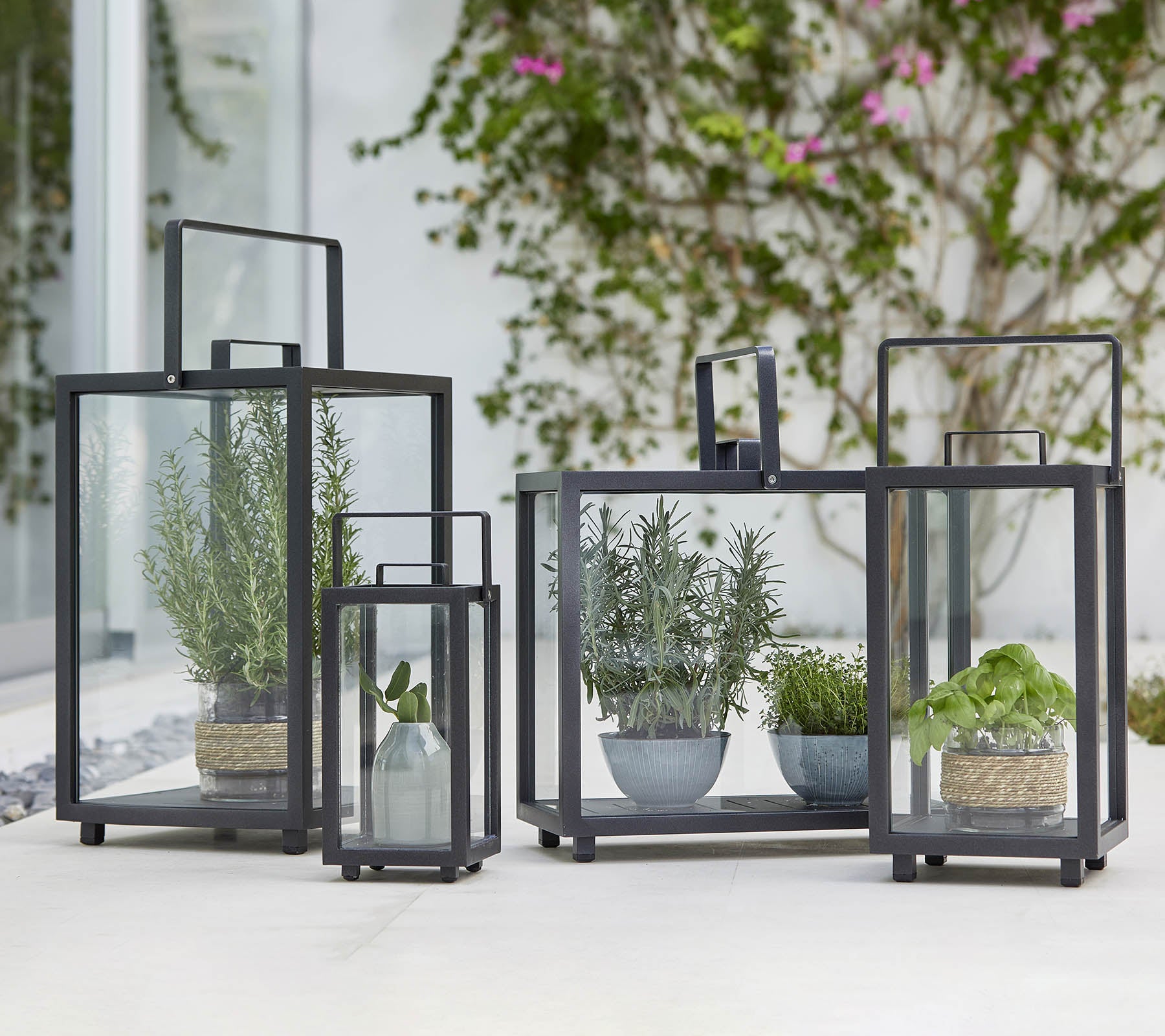 Vier geometrische Glaslaternen mit verschiedenen Topfpflanzen im Inneren, die modernes Design und Pflanzenpracht präsentieren.