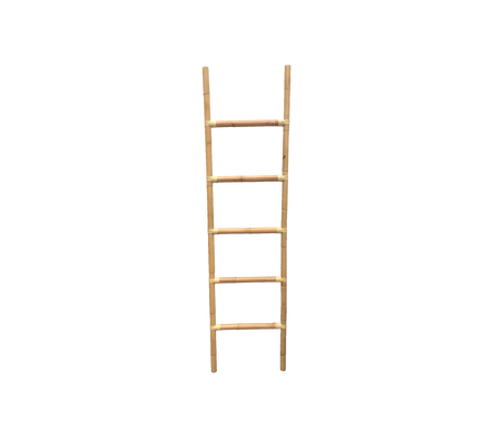 Climb Leiter