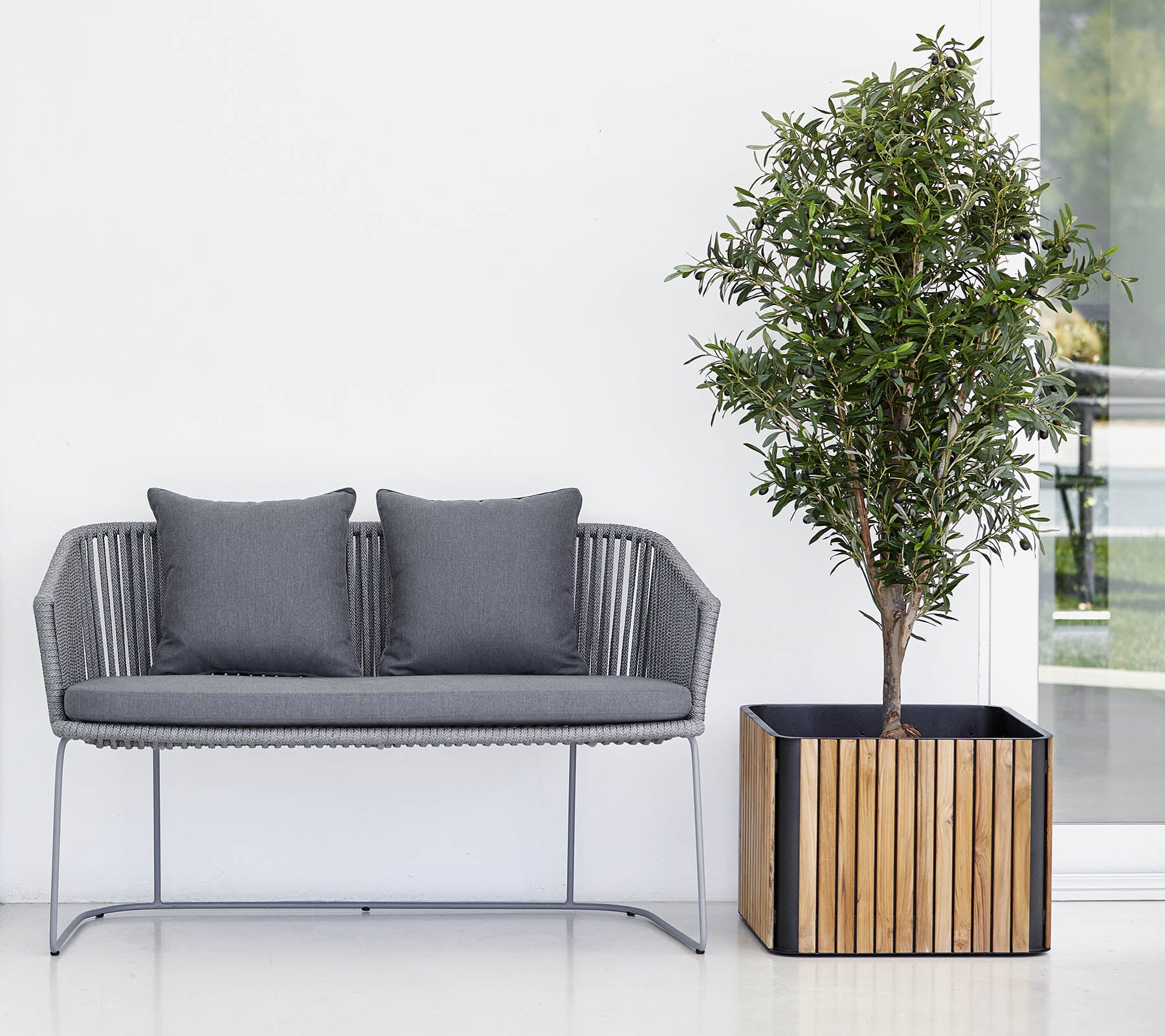 Moderner Sofa mit zwei Kissen neben einem Topfbaum in einem dekorativen Blumentopf, vor einem sauberen, neutralen Hintergrund.