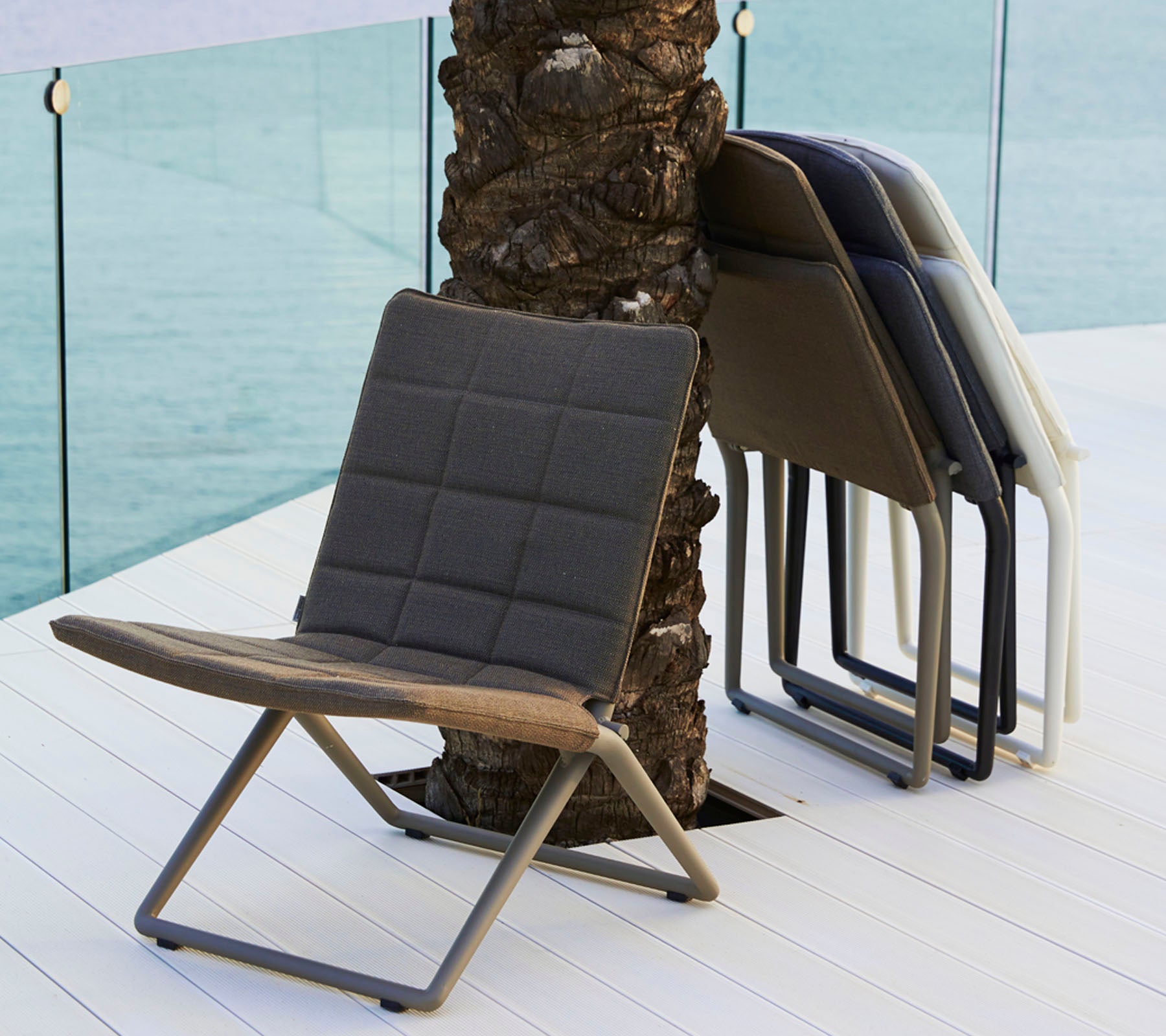 Zwei stilvolle, moderne Stühle in verschiedenen Farben mit einem zeitgenössischen Design und einem schlanken Metallrahmen, die an einer Palme lehnen.